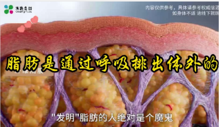 f80328c22330292bdd3331e5ff19dd69.png